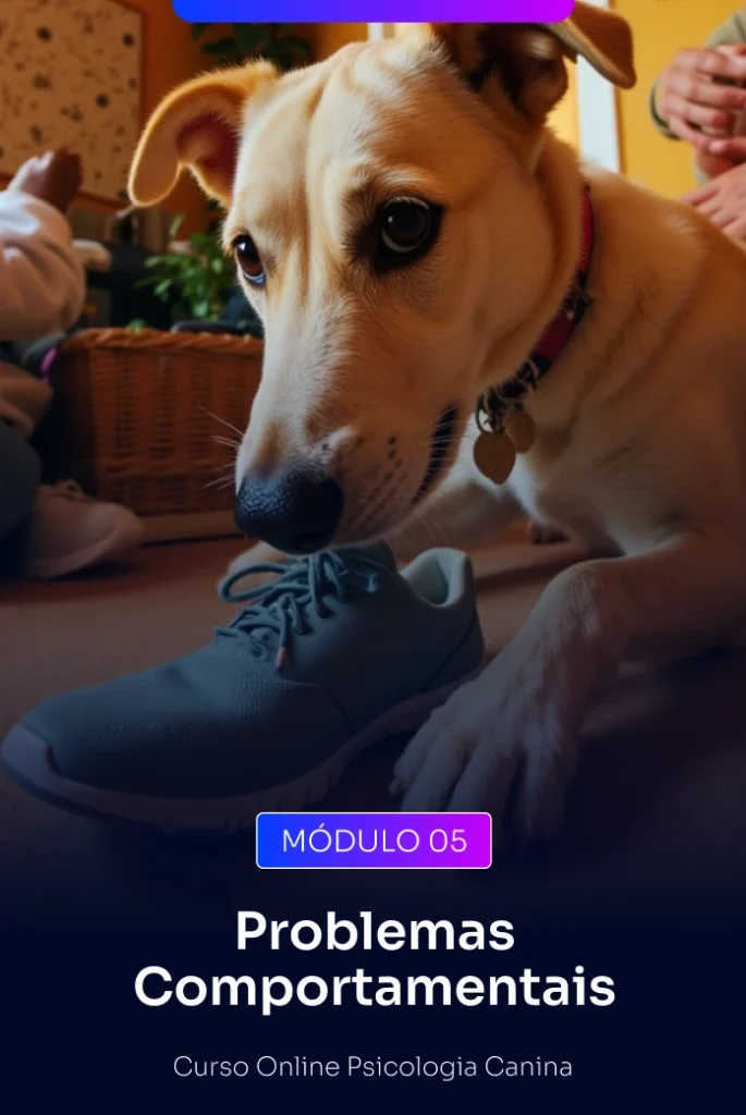 Resolva o que te estressa hoje. Latidos excessivos, agressividade, destruição e ansiedade de separação. Entenda a raiz dos problemas e aprenda estratégias claras para solucioná-los com segurança e resultado.