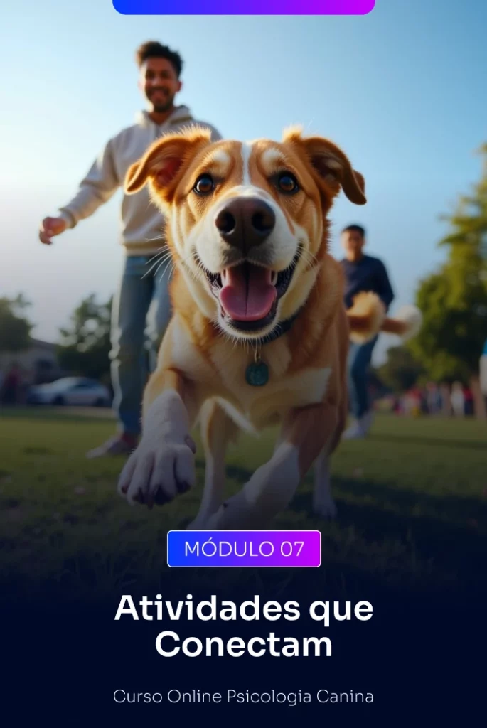 Mais do que adestrar: fortalecer laços.  Descubra esportes e brincadeiras que desenvolvem o físico e o emocional do seu cão. Mantenha seu pet estimulado, feliz e ainda mais conectado a você.